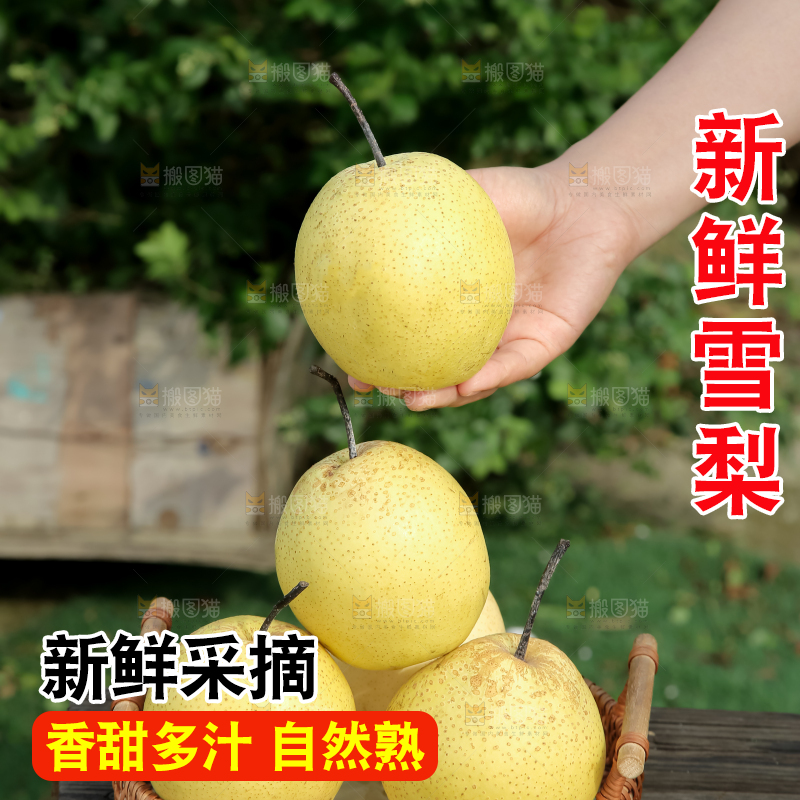 雪梨