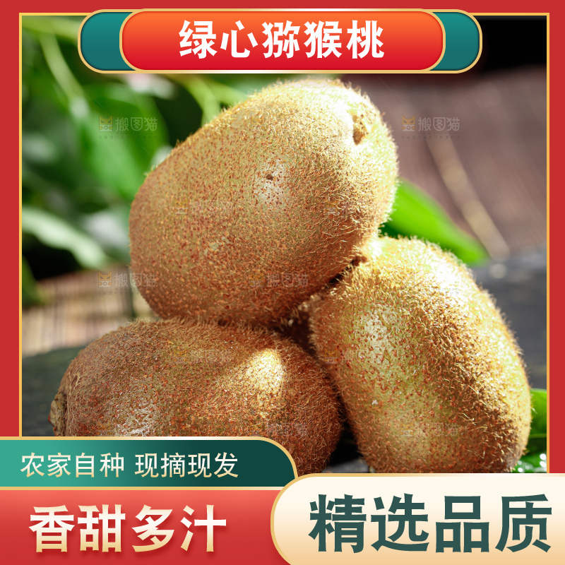 徐香猕猴桃