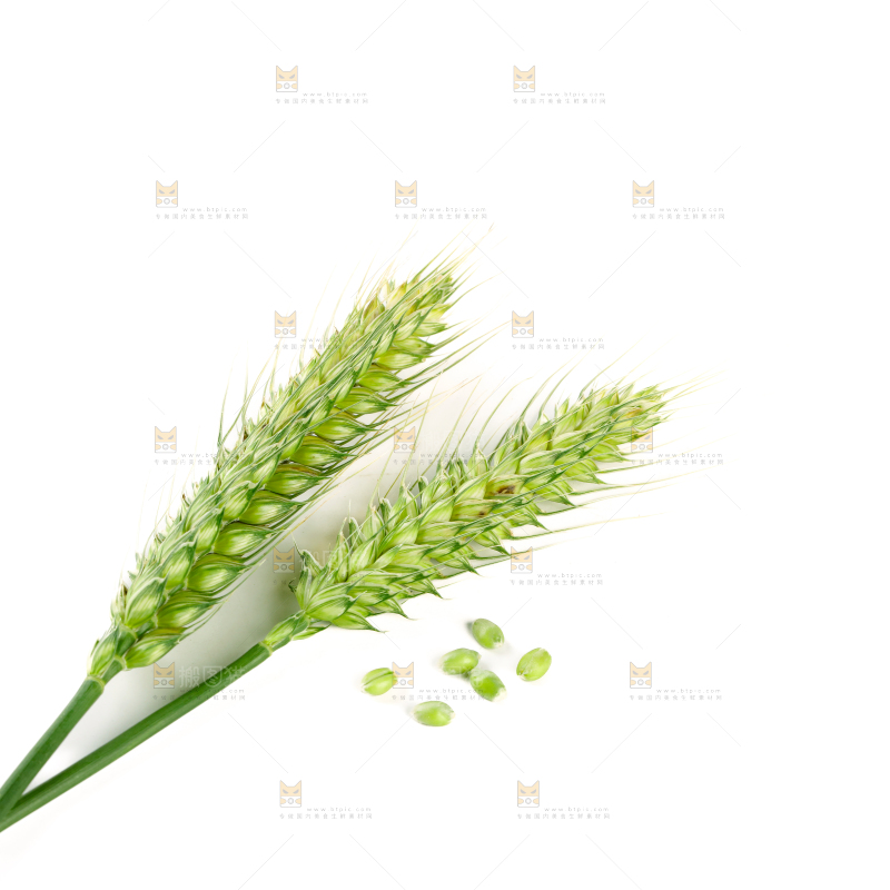 青麦仁