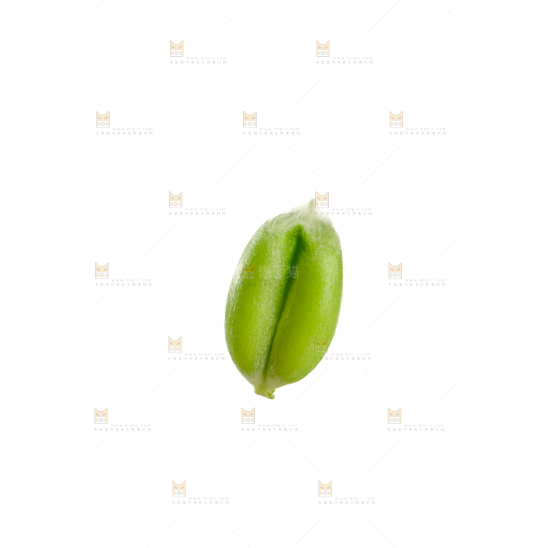 青麦仁