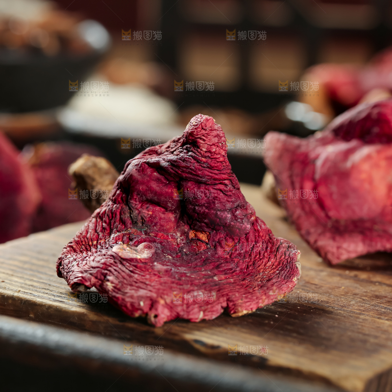红菇