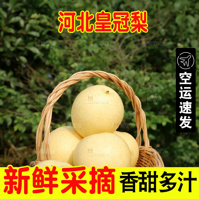 皇冠梨