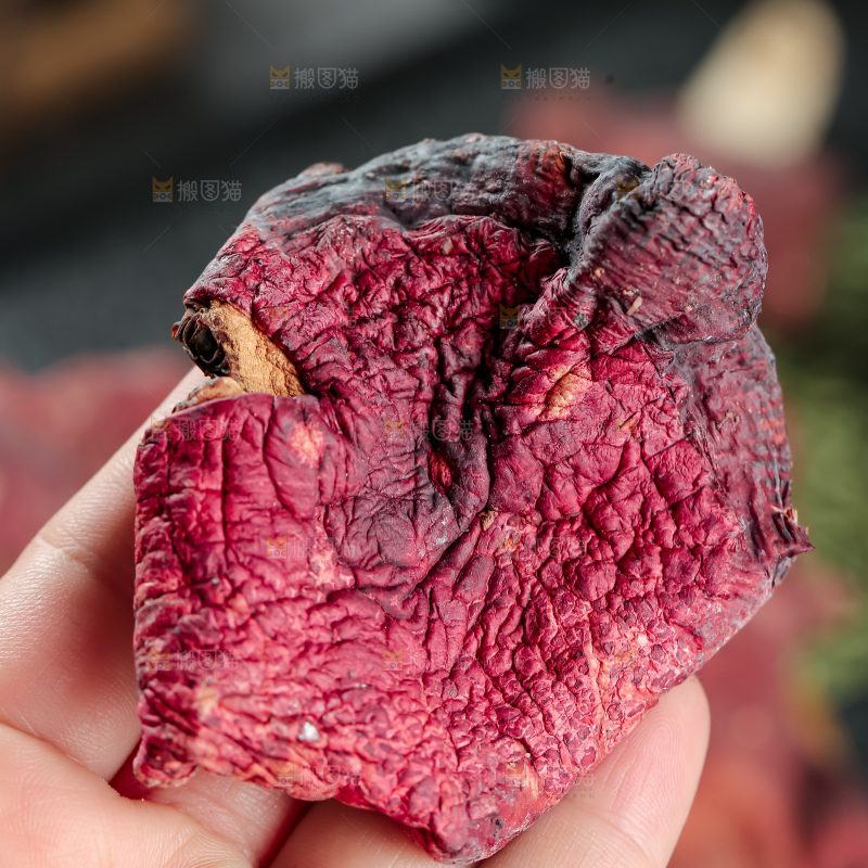 红菇
