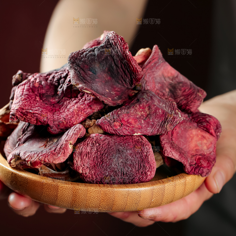 红菇
