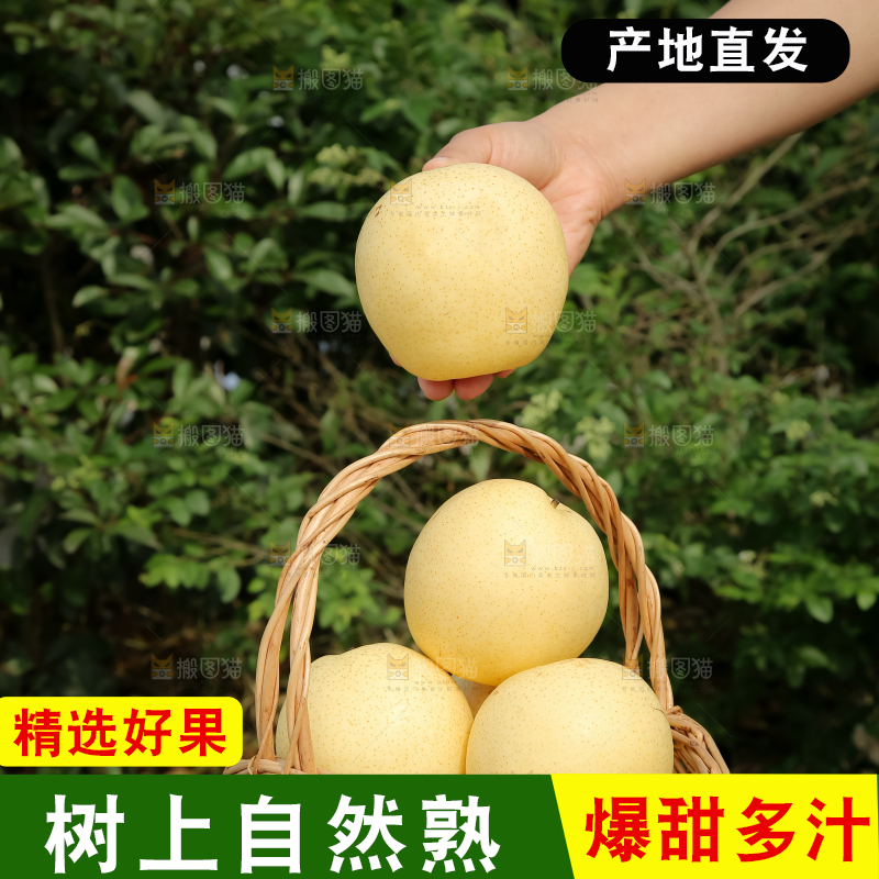 皇冠梨