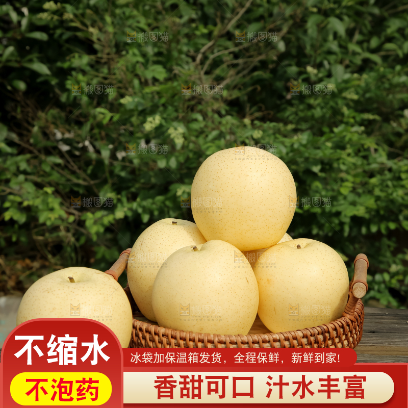 皇冠梨