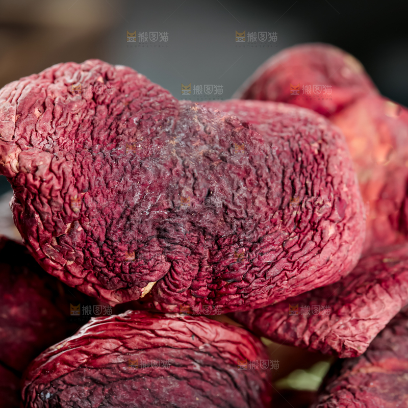 红菇