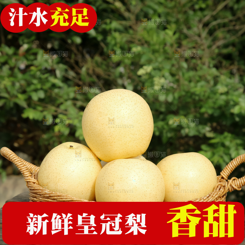 皇冠梨