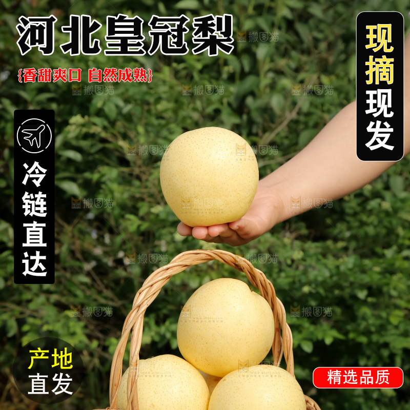 皇冠梨