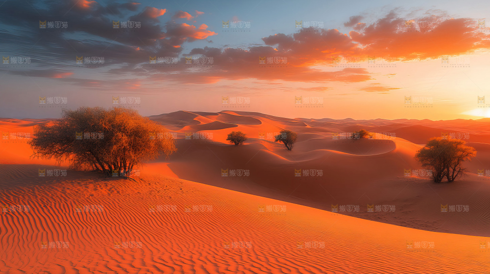 沙漠沙丘星空徒步探险大好河山