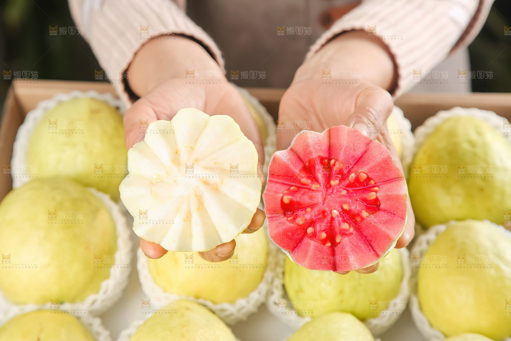 双拼芭乐 双色芭乐