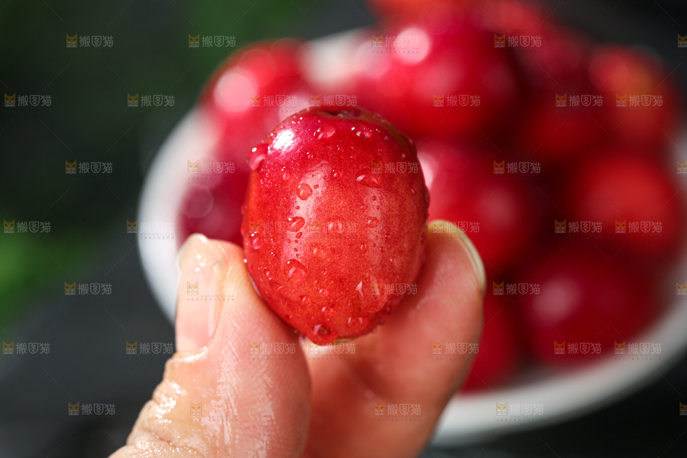 蔓越莓
