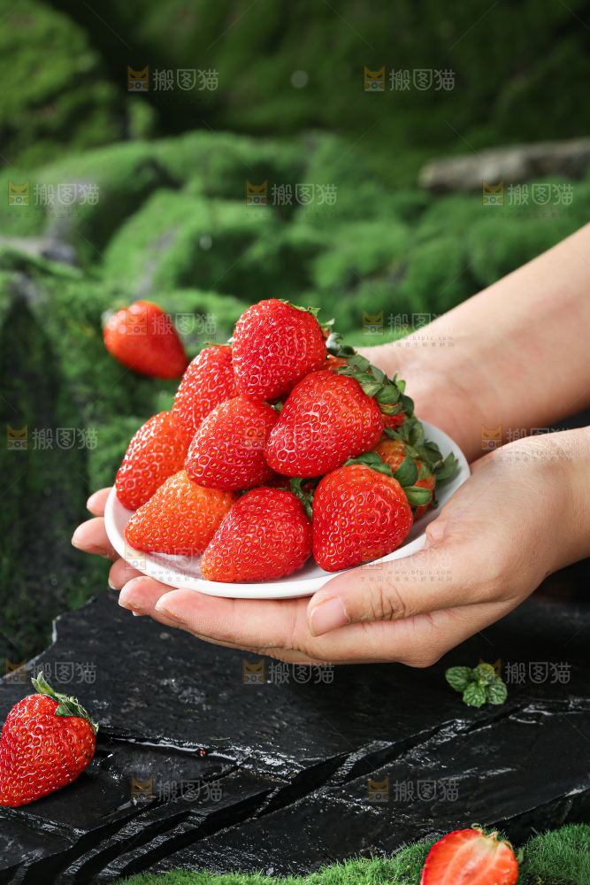 草莓