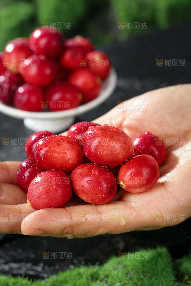 蔓越莓