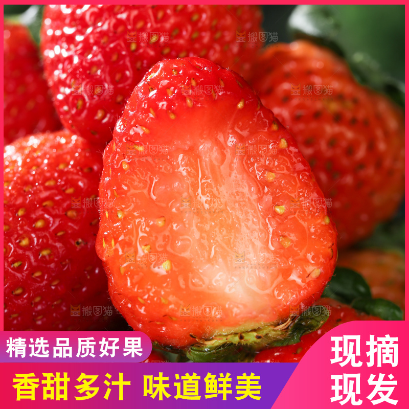 草莓