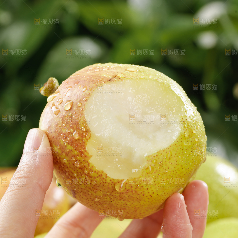 库尔勒香梨