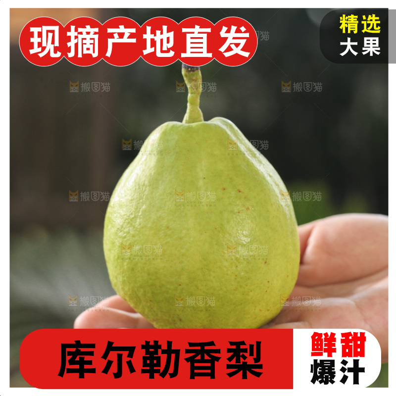库尔勒香梨