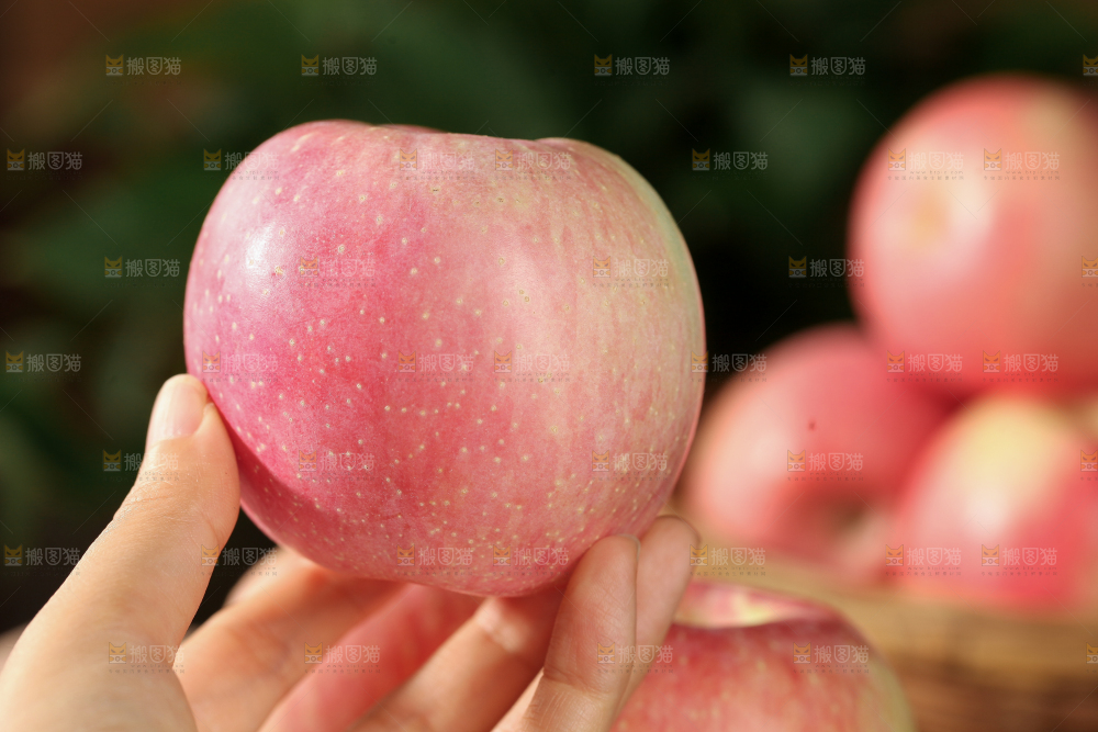 红富士苹果