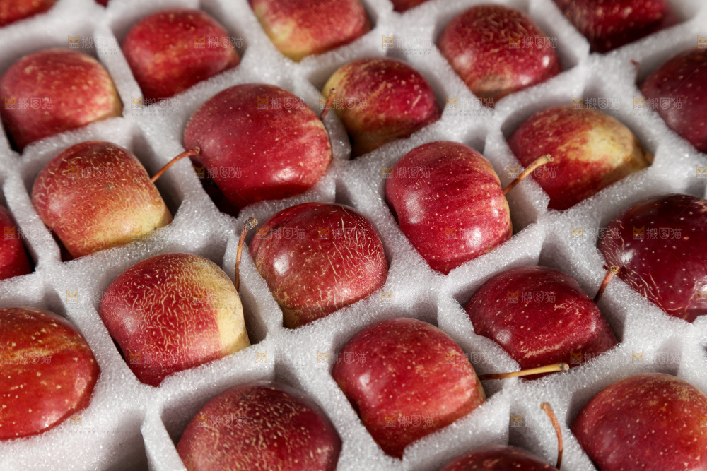 龙丰果