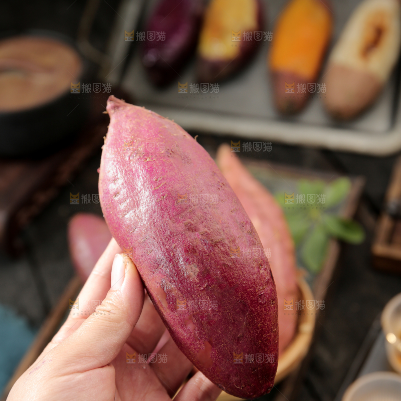 四色蜜薯