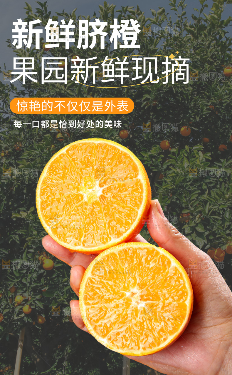 新鲜脐橙详情页