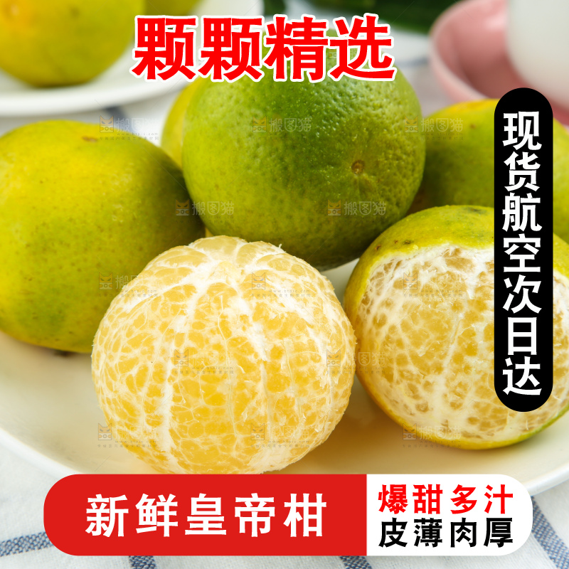 皇帝柑
