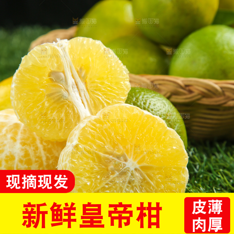 皇帝柑