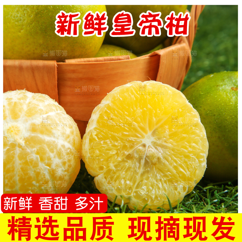 皇帝柑