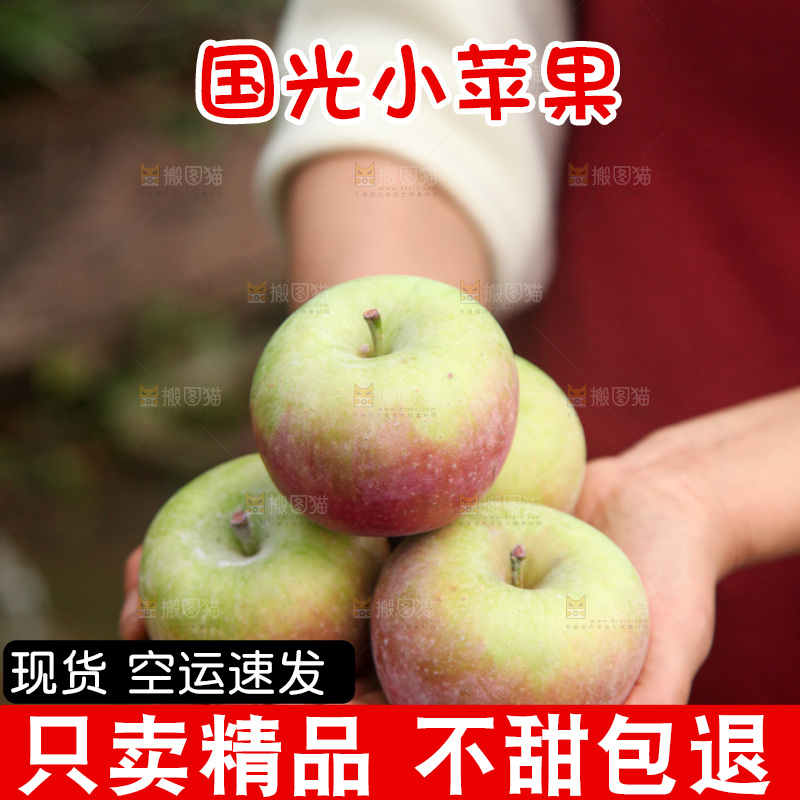 国光苹果