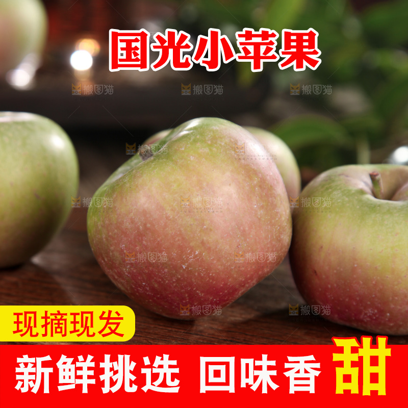 国光苹果