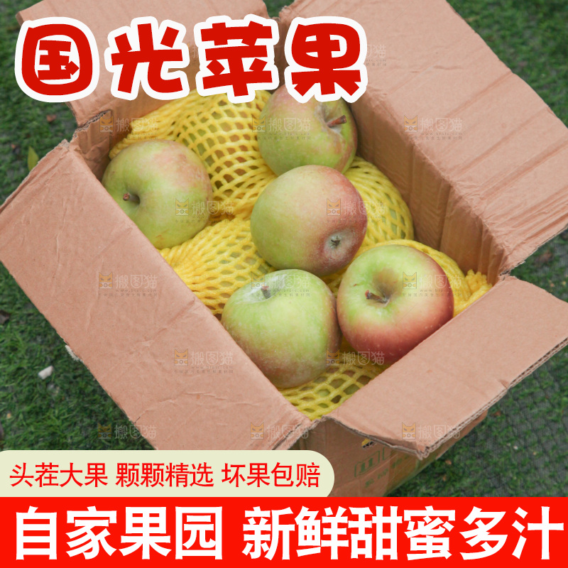 国光苹果
