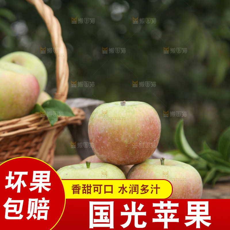 国光苹果