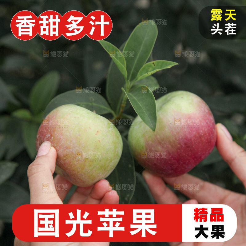 国光苹果