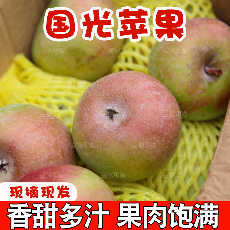 国光苹果