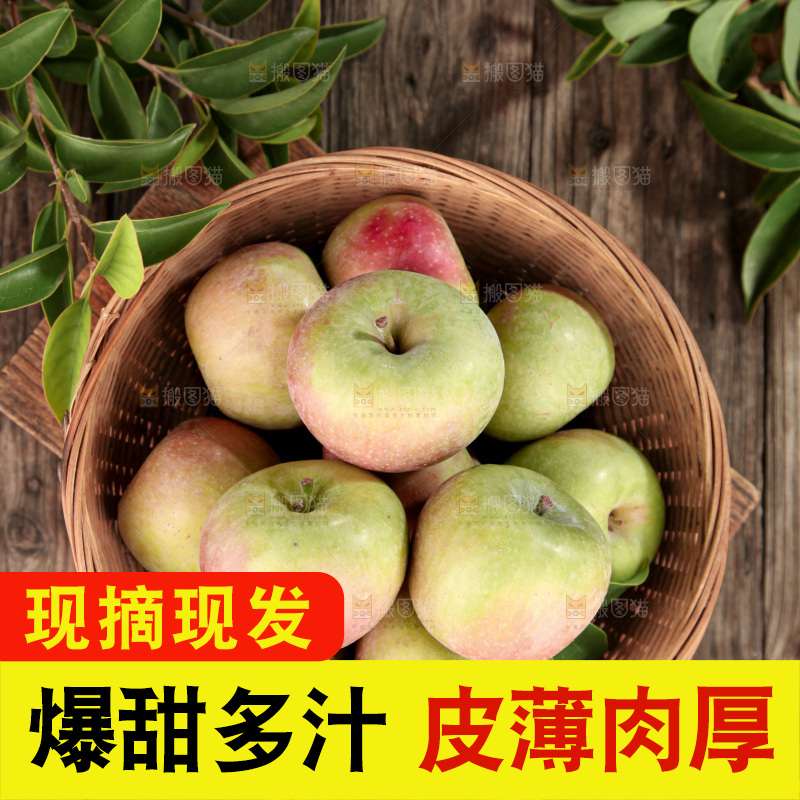 国光苹果