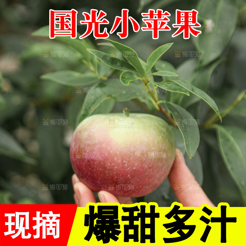 国光苹果