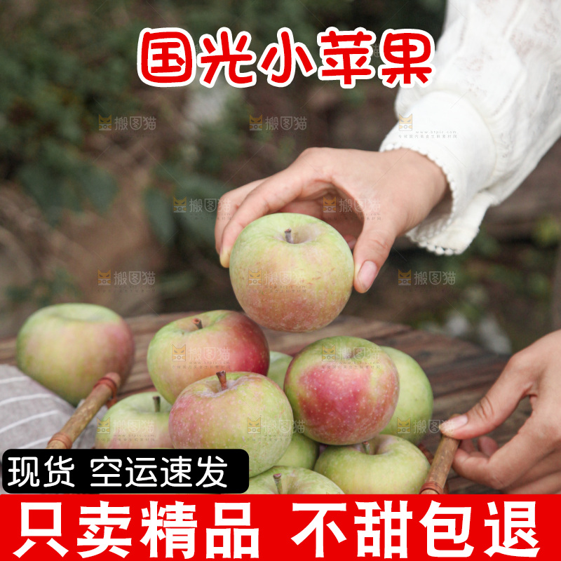 国光苹果