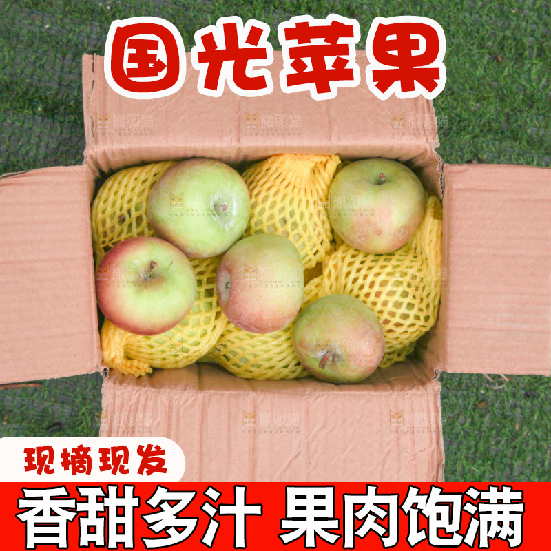 国光苹果