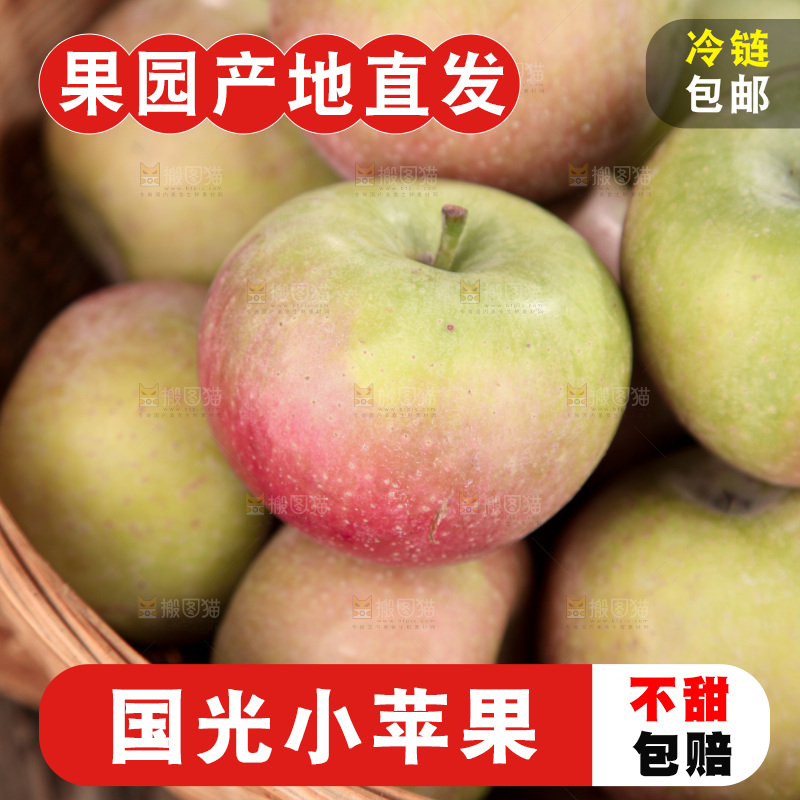 国光苹果