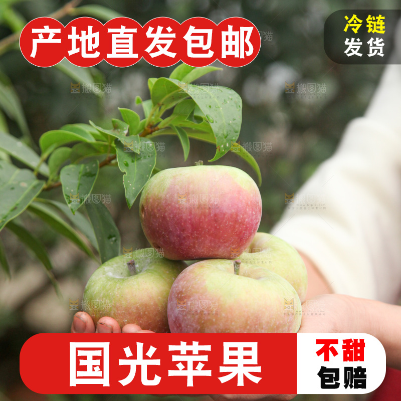 国光苹果