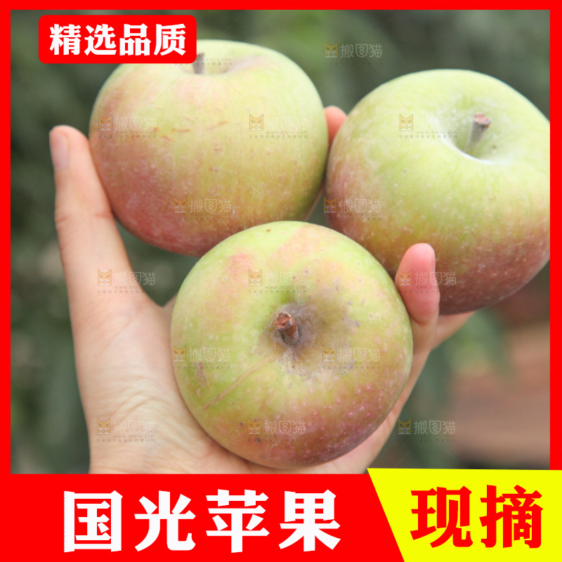 国光苹果