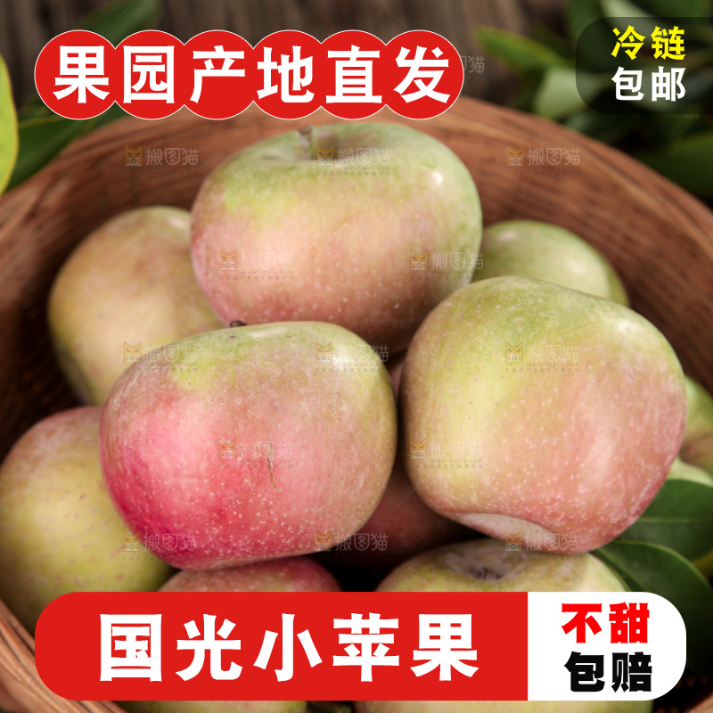 国光苹果