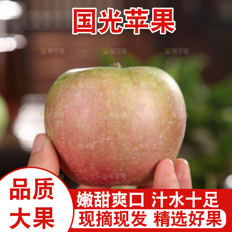 国光苹果