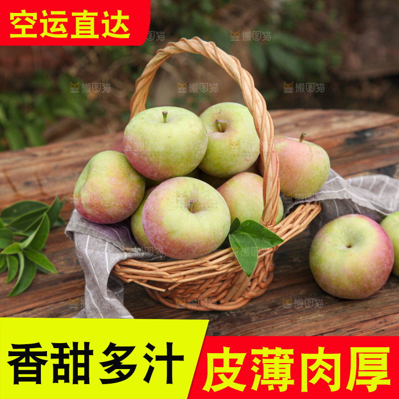 国光苹果