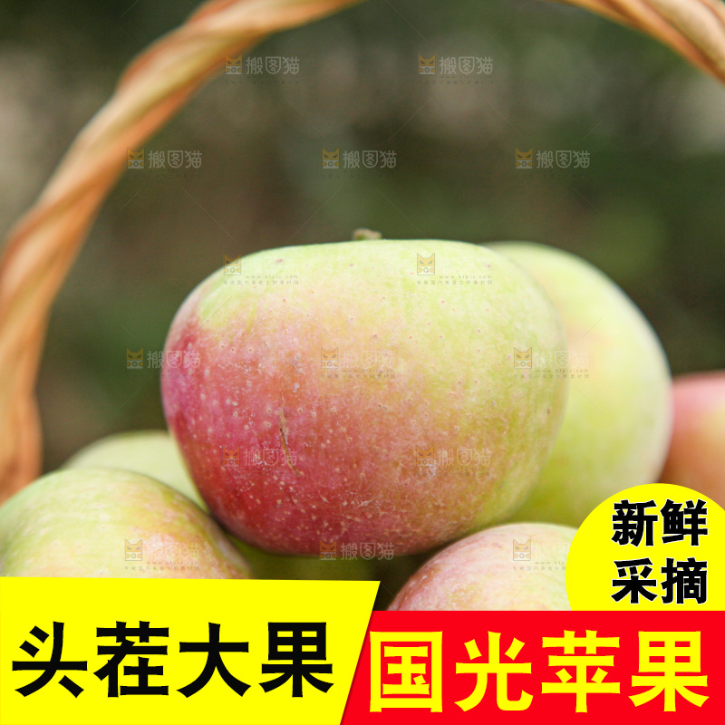国光苹果