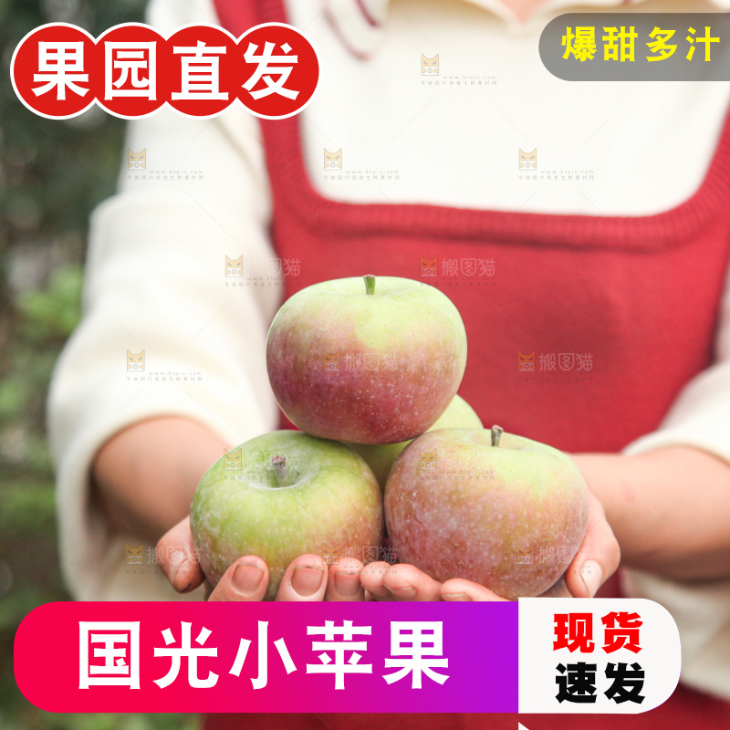 国光苹果