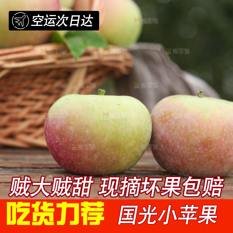 国光苹果