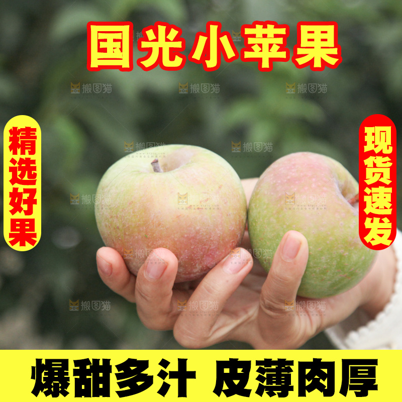 国光苹果
