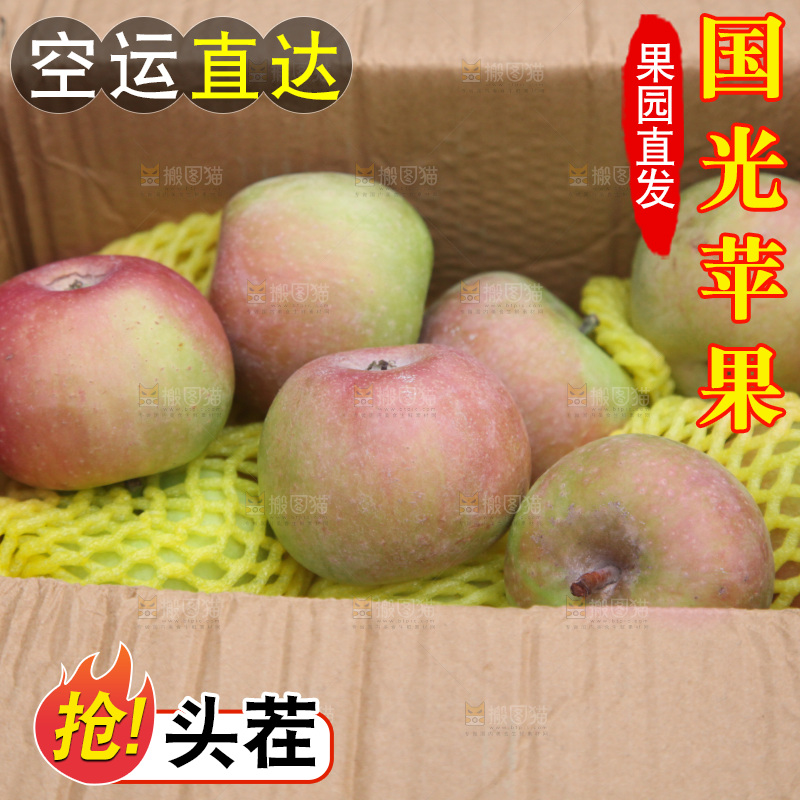 国光苹果