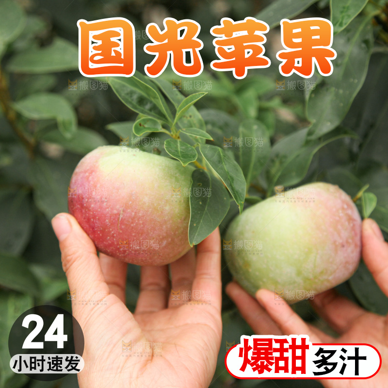 国光苹果